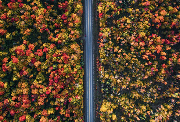 Planning for Uncertainty